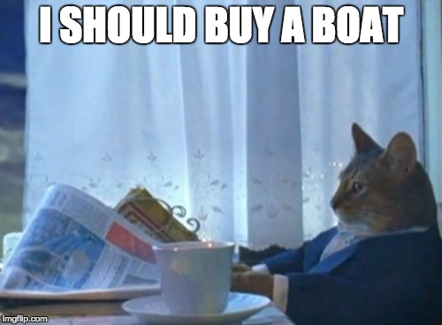 Cat buying a boat